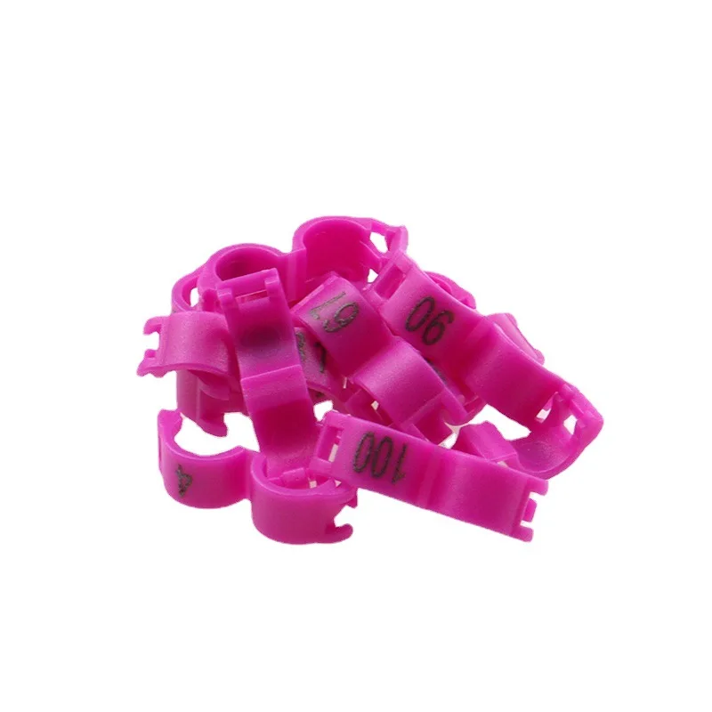 Customize Pigeon Ring 2.7/3/4/4.5/5mm Plastic Bird Ring Pigeon Digital Foot Parrot Leg Rings