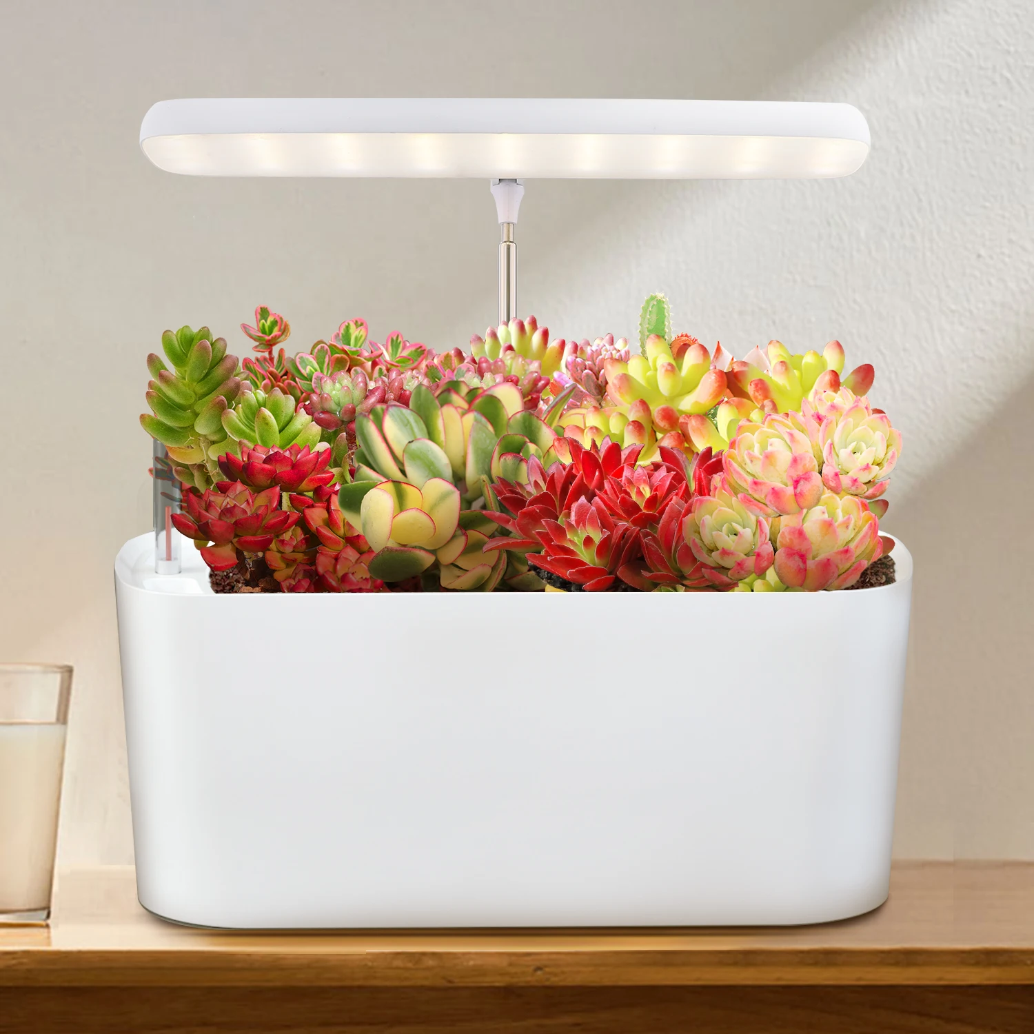 J&C LED 10W Light for Plants Intelligent Control Indoor Grow Light Clip on any pots Garden Tools Indoor Kit