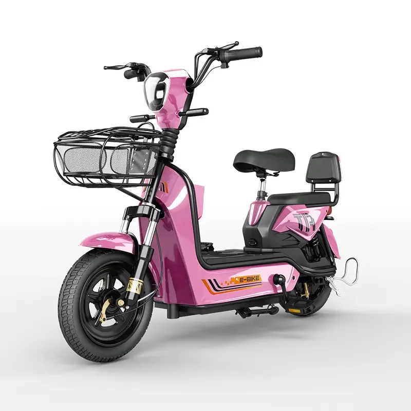 Inexpensive Electric Vehicles 350W and 500W Motor Electric Bikes