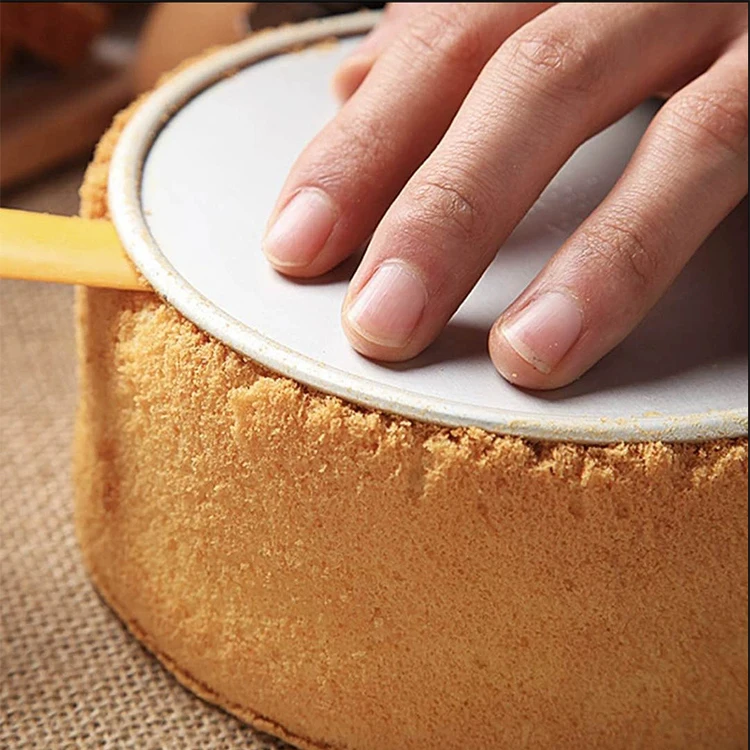 Non-stick Bakeware Baking Tool 10 inches Round Removable Cheesecake Cake Tools Aluminum Pans