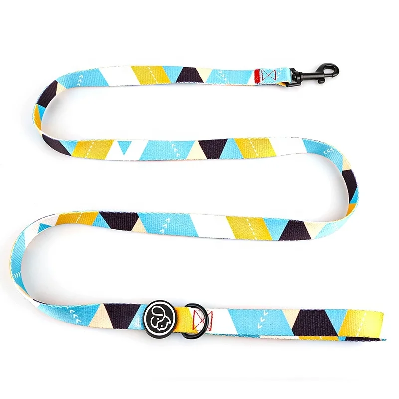 Wholesale Designer Colorful Sublimation Workmanship Pet Leash for Dog