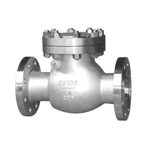 Customizable 6 inch Double Flange Type Cast Iron Non-Return Swing Check Valve