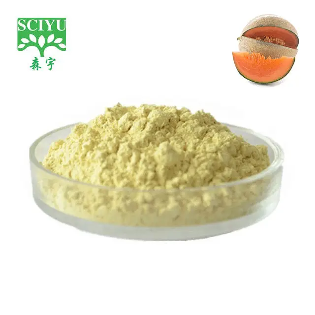 Cantaloupe melon powder Cucumis melo Fruit powder Honeydew melon juice powder