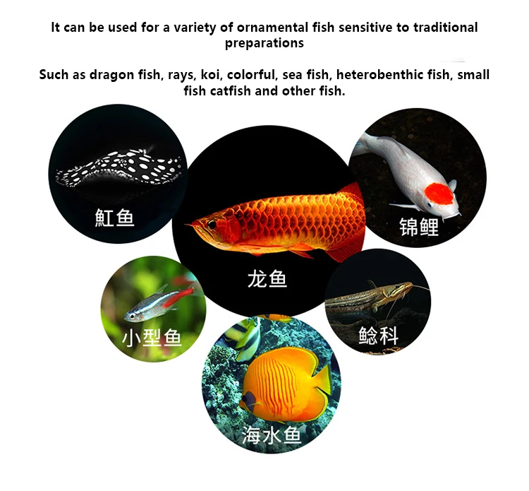 Baiyinmei No.1 fish medicine is specially used to treat all kinds of ornamental fish
