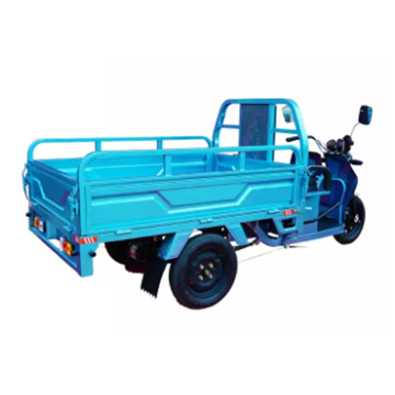 Factory Price Hot sale Three Wheel Cargo Tricycle Battery Electric Trikes for Adults 60V1000W Motorized tricycles