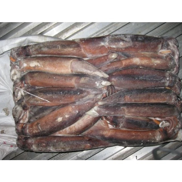 Factory hot sale product high quality healthy seafood fresh calamari frozen squid