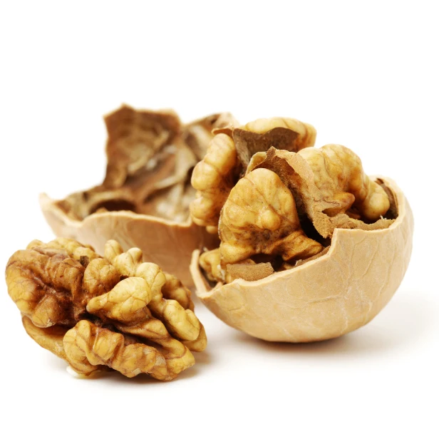 Factory Supply Walnut Lowest Price In Shell Walnuts Kernels Wholesale Top Quality Walnuts In Cheap Price