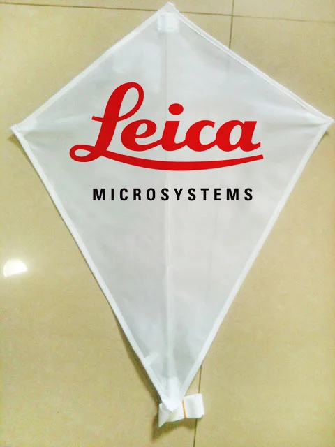 Wholesale chinese toy manufacturers custom kite branded kite custom printed kite