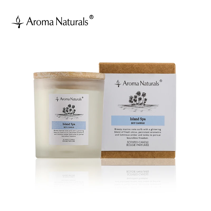 Aroma Naturals Glass Jar Scented Candles private lable New Arrival Scented Candles Christmas Scented Soy Candles Luxury