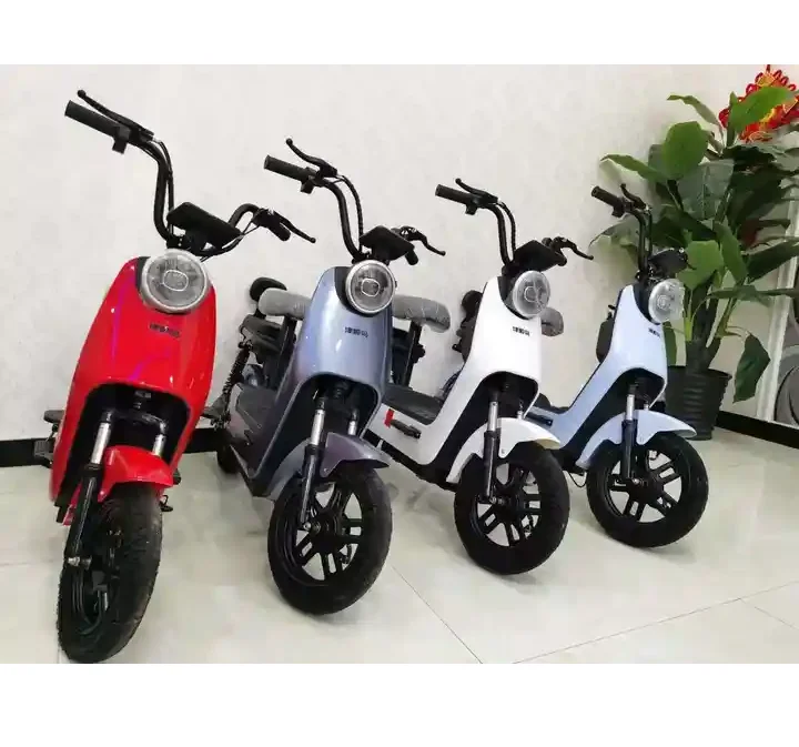 Electric bicycle factory Direct selling Long Distance digital meter electric bicycles for men