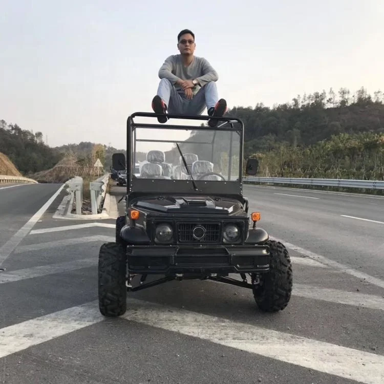 
Europe Popular Electric Powered 4 Seater Electric Willys Jeep For Family 