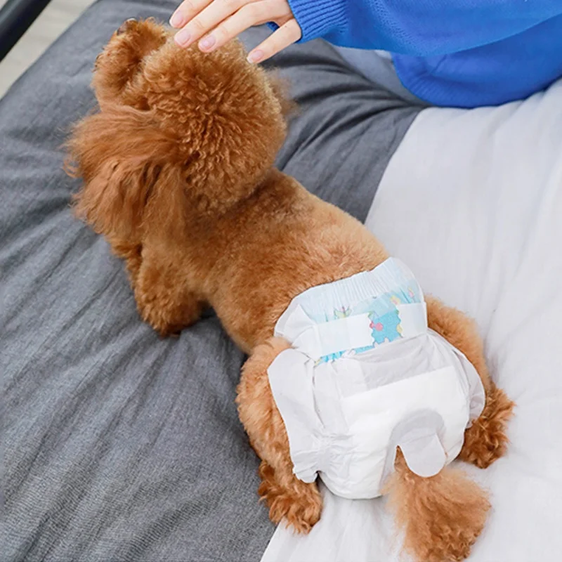 Super Absorbent Soft Female Male Dog Disposable Diapers For Dog Cat Pet