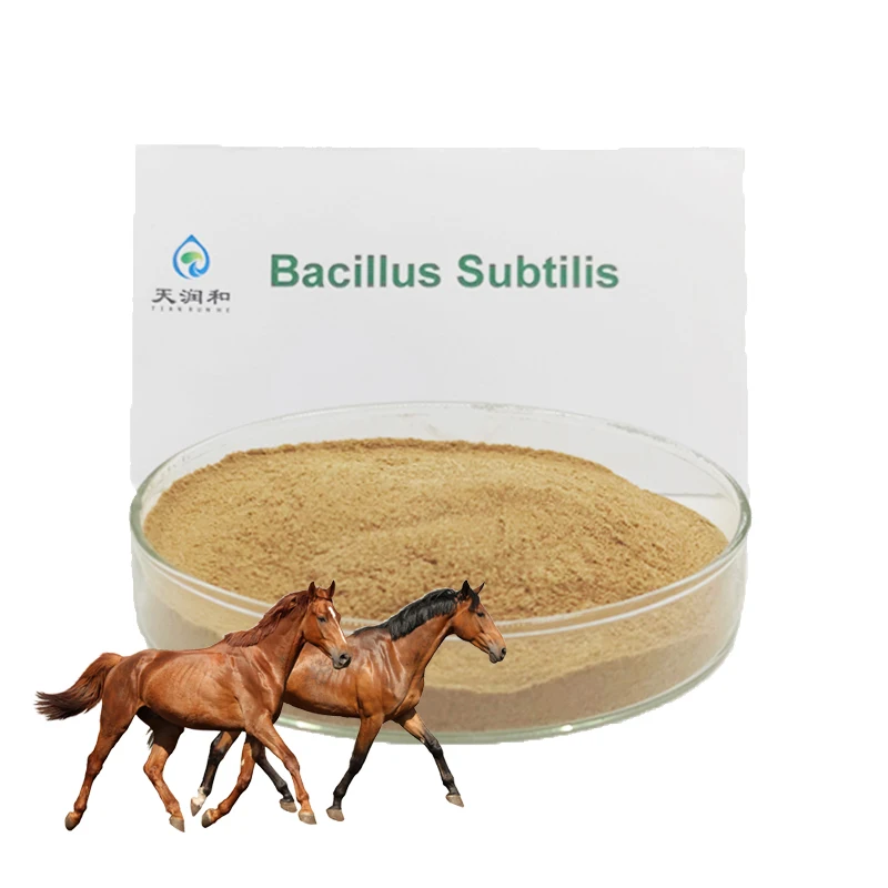 fish probiotics  biofloc bacillus subtilis capsules