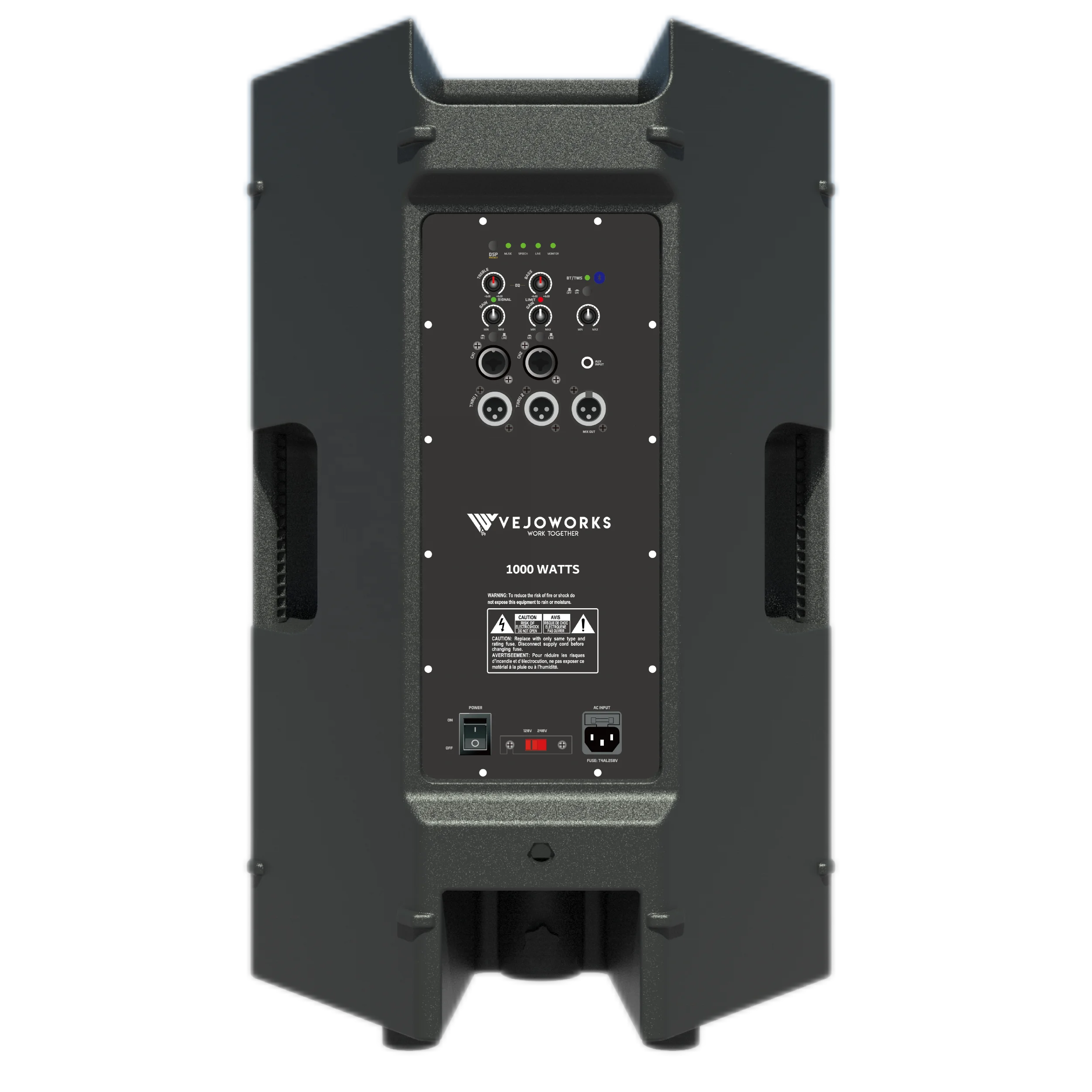 PA active speaker V4-series 15 inch 1000W Powered speaker Professional plastic active Speaker with DSP, FIR Filter,bluetooth