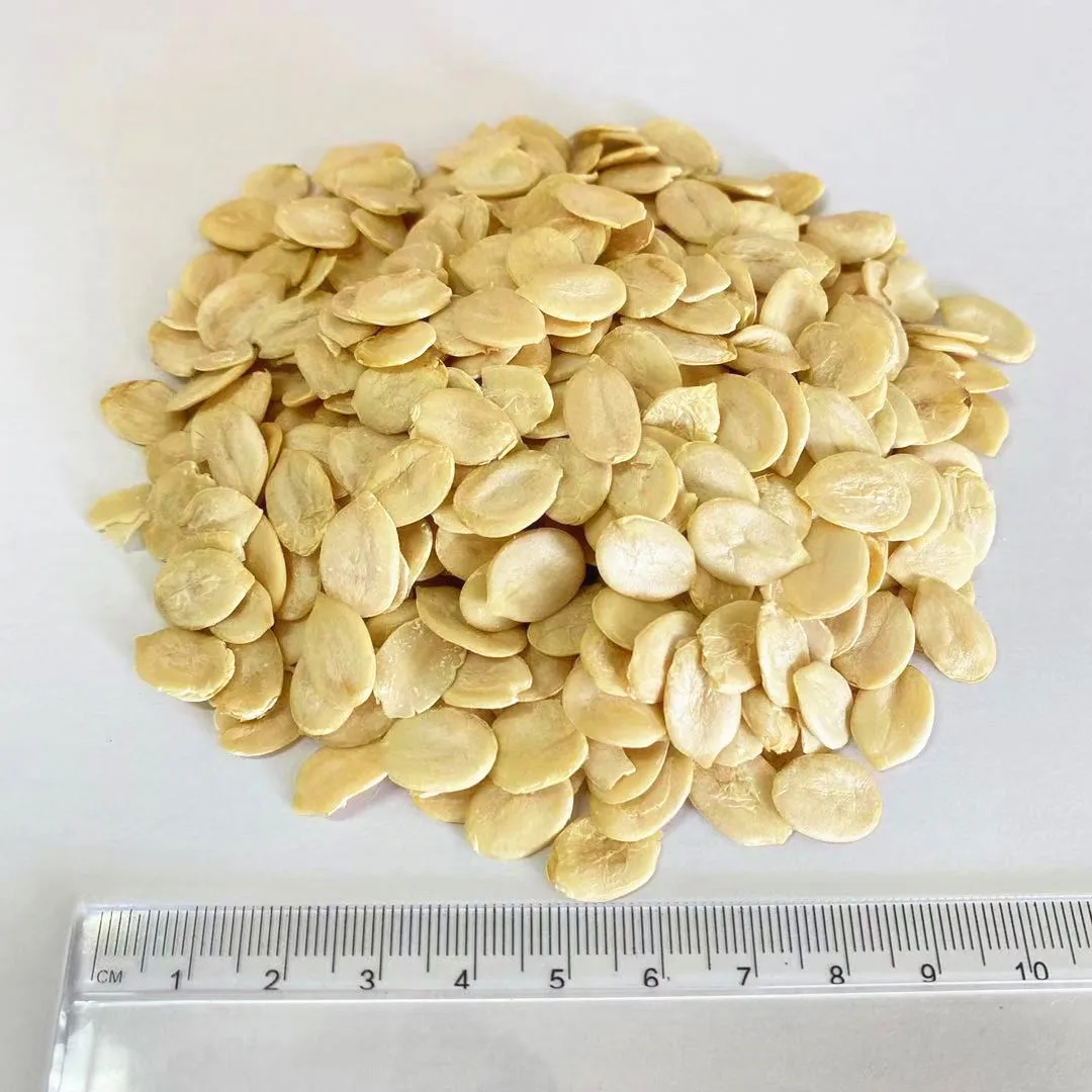 New Crop China Origin  Big Size Watermelon Seeds Kernel Price
