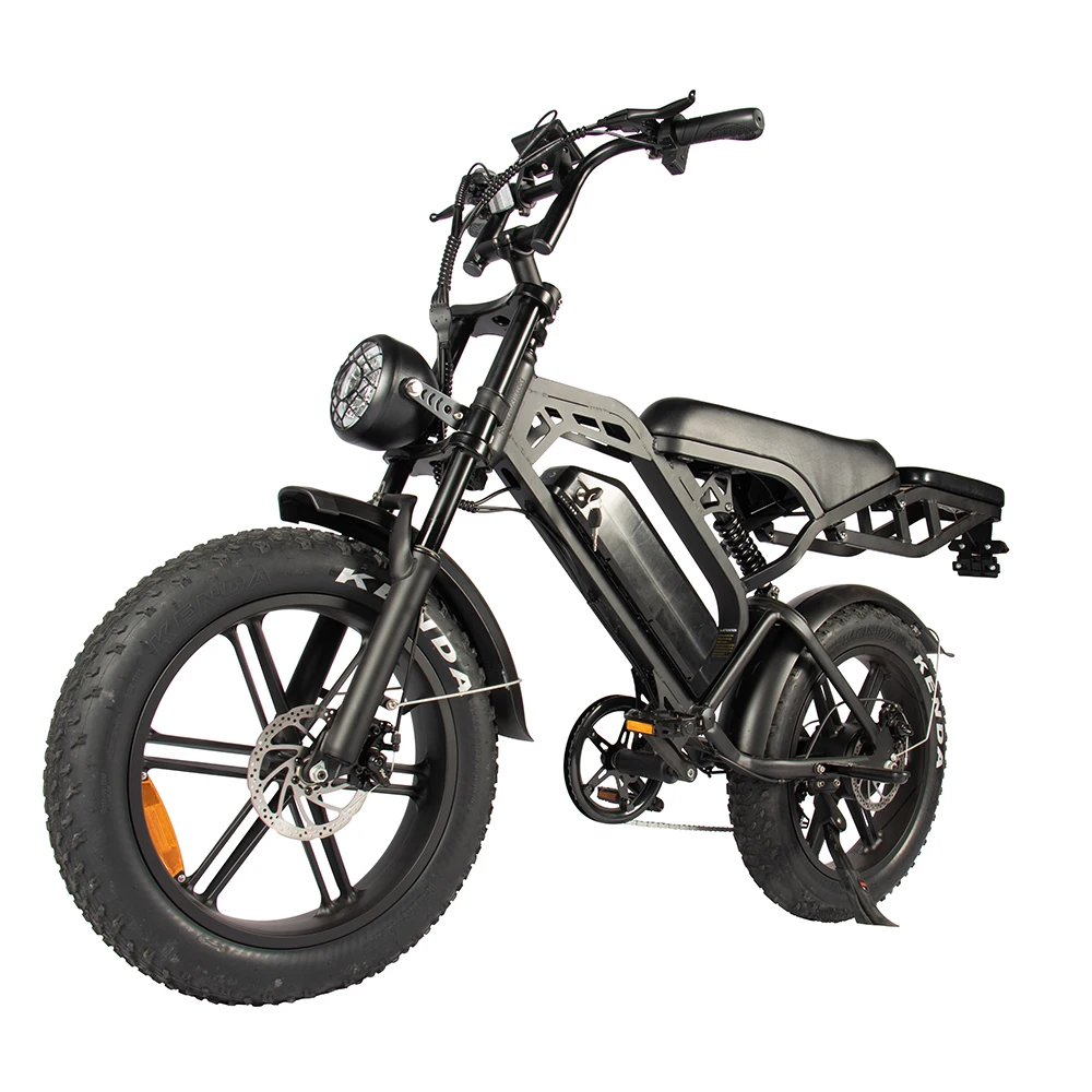 EU Stock 2 Seat Electric Bike for Adults Front Rear Hydraulic Brake Bicycle Bicicleta Electrica 48V 15ah Fat Tire Electric Bike