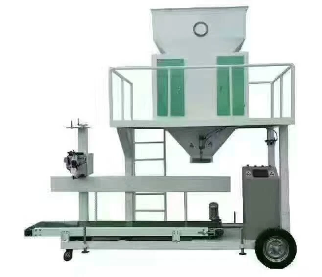 Wholesale high quality China best company of Double bucket particle packing machine