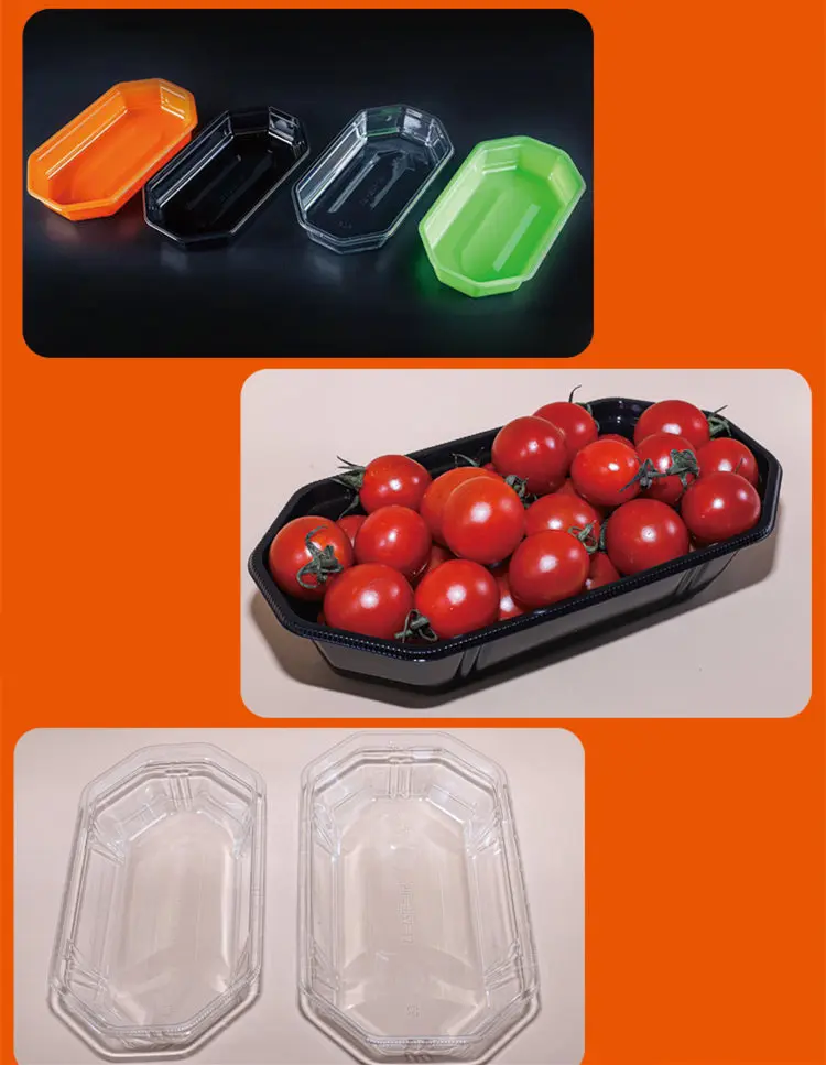 Chocolate Blister Tray