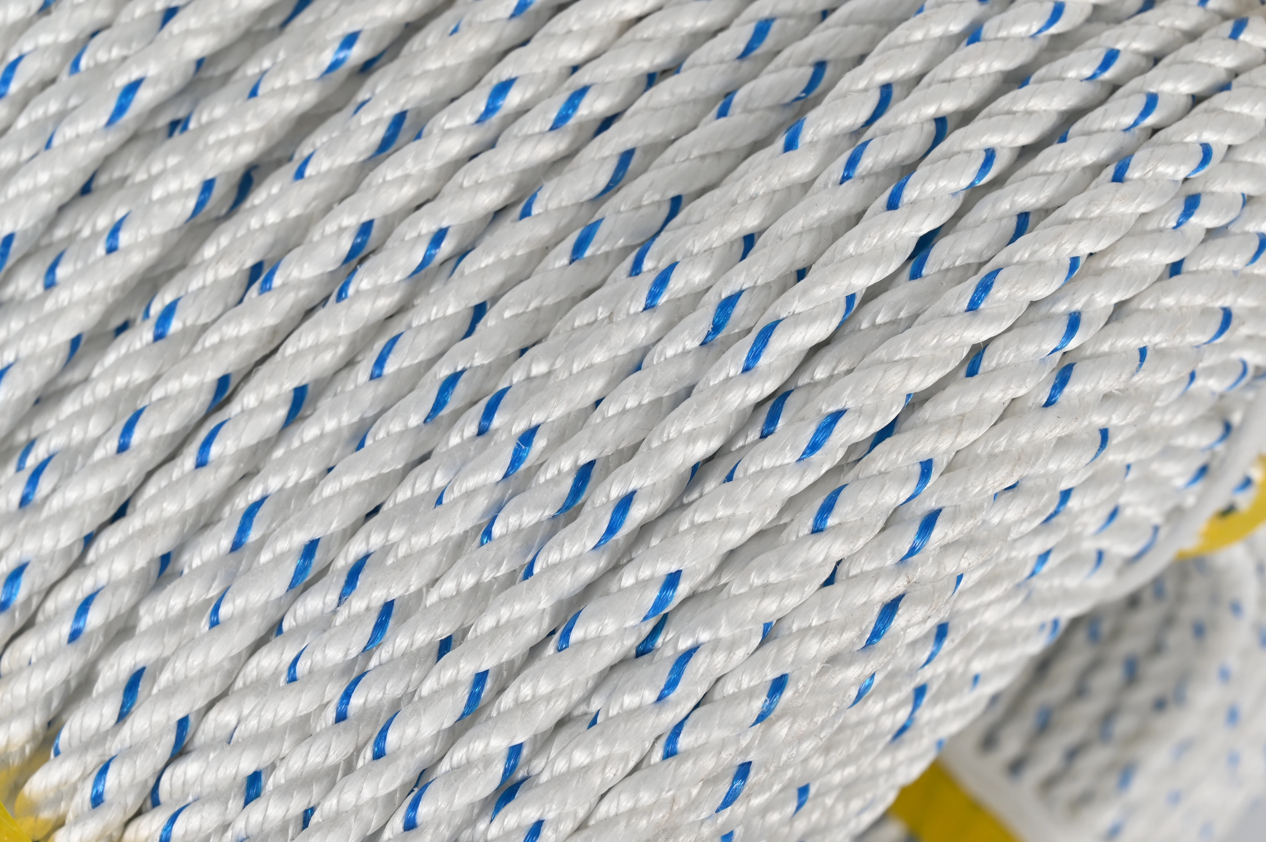 Polypropylene Material White Color Wth Blue Trace Twisted Packing Rope PP Danline Rope