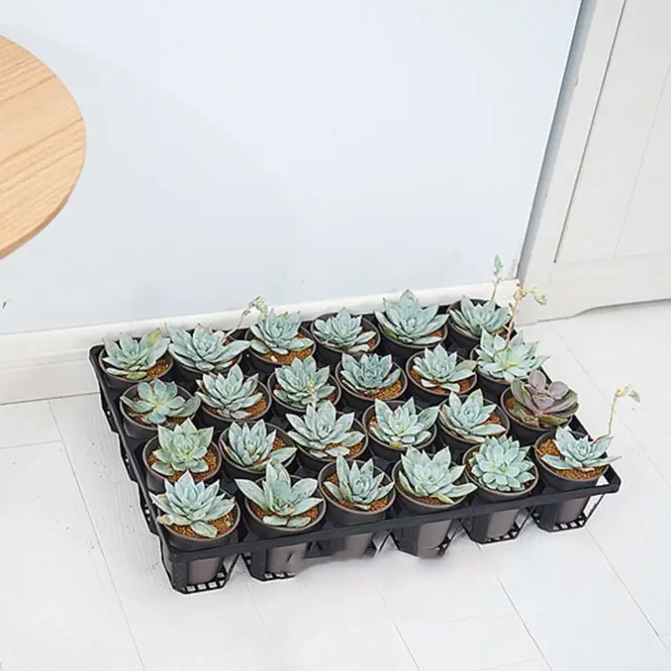 66 286 24 Holes Nursery Pot Cactus Plant Pot Garden Plastic Black Succulents Planter Pots Seedling Tray