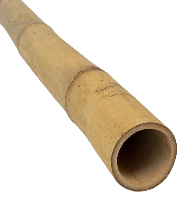 
Natural Moso Bamboo Poles for Construction, Moso Bamboo, Big Bamboo Poles 