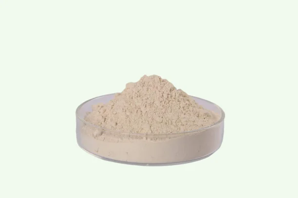 Factory supply top quality serrapeptase enzyme
