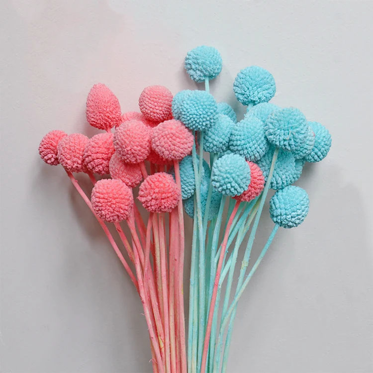 A-20 wholesale cheap natural Golden ball dry for candles arrangement resin Decorative flowers dried flower