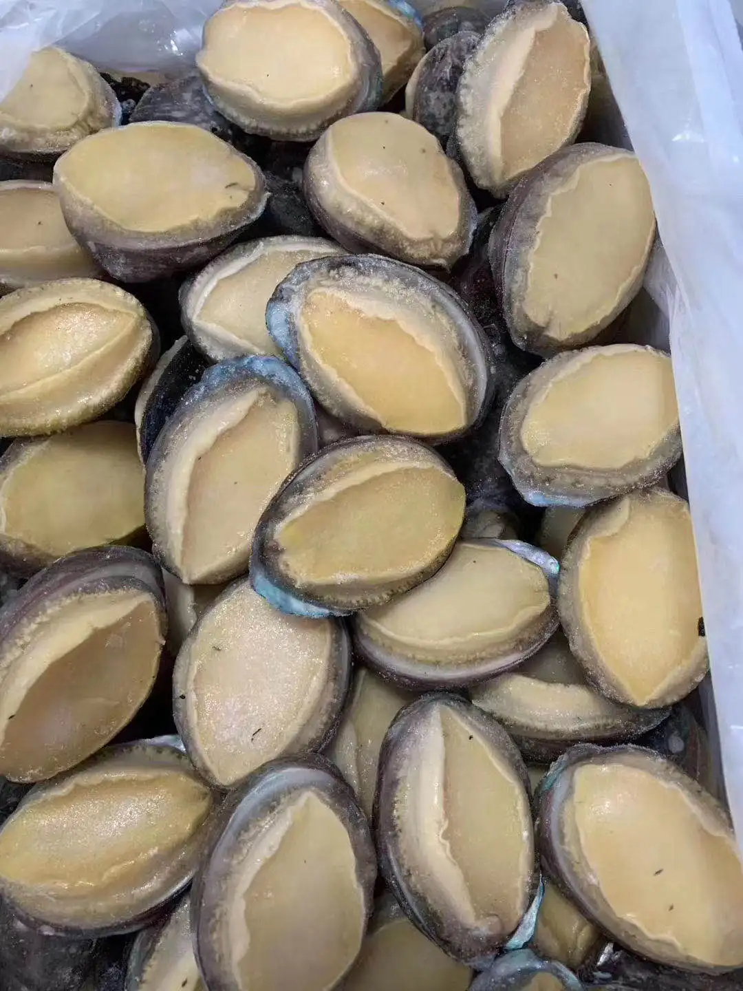 
Dried Gold Abalone Seafood,Food Grade 1000g/2bags 