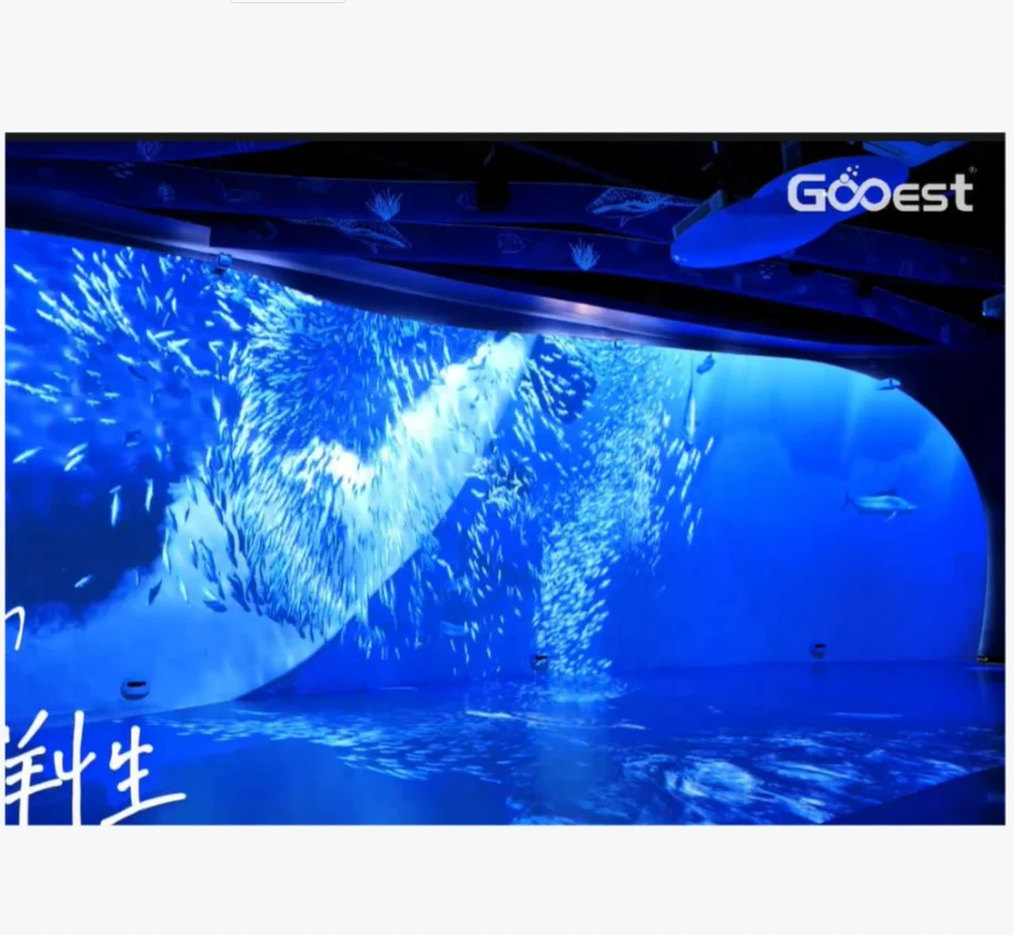 hot selling immersive ocean interactive wall and floor aquarium science museum exhibit