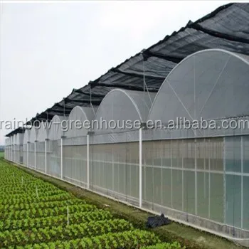 China Hydroponics greenhouse aquaponics greenhouse for tomato lettuce mango strawberry culture