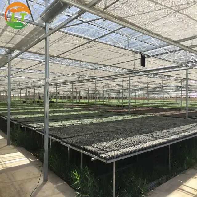 European quality economical polycarbonate greenhouse with panels for
