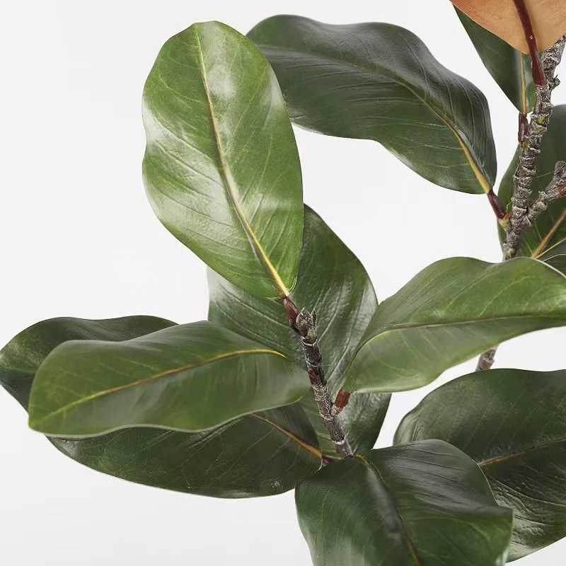New Arrival Ins Faux Magnolia Real Touch Latex Branch Leaves Artificial Greenery For Indoor Sring Home Hotel Decoration