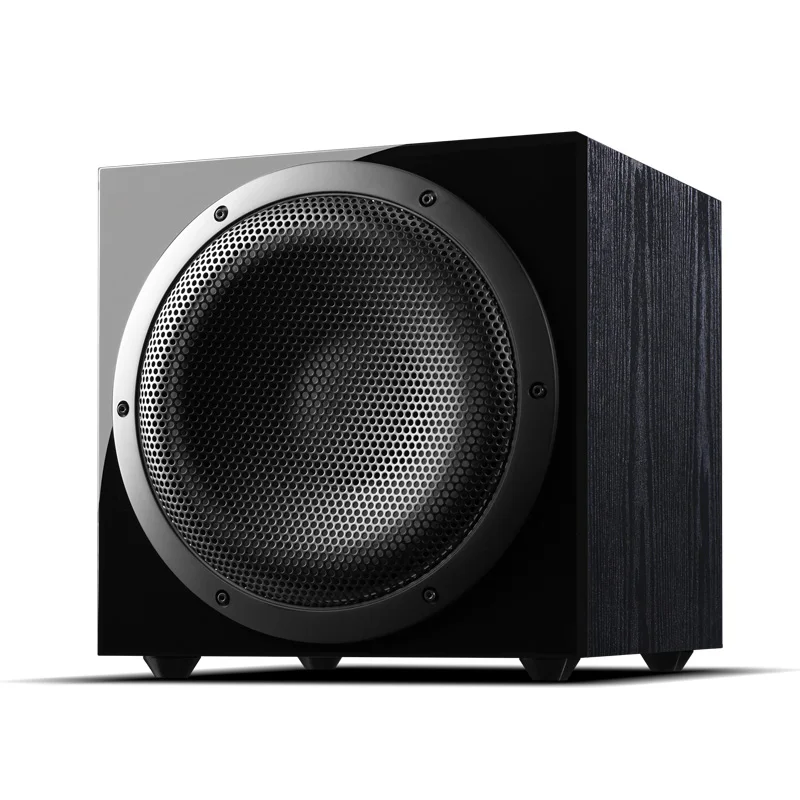 Лебеди Hi-Fi sub10 150W активный 10 дюймов One Way герметичный Профессиональный динамик сабвуфера