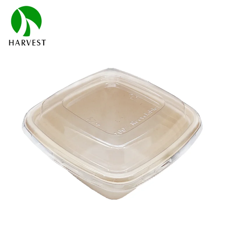 350ml 500ml sugarcane bagasse pulp wholesale take out square food container