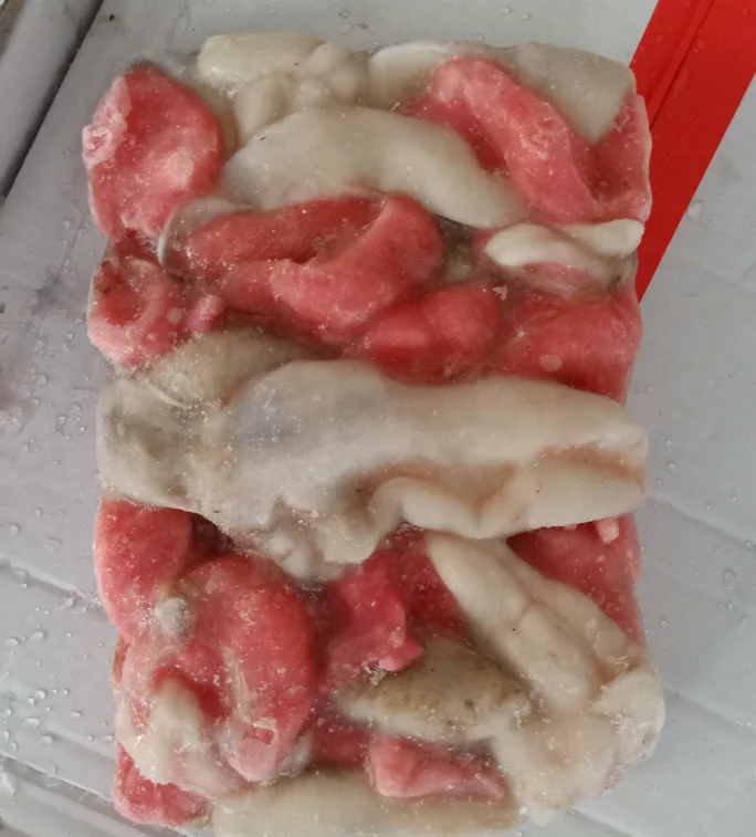 
FROZEN SQUID ROE SQUID EGG LOW PRICE 