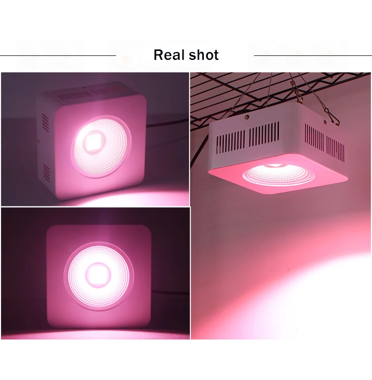 2021 New COB LED Grow Light Full Spectrum 200W Led Grow Light for indoor plants
