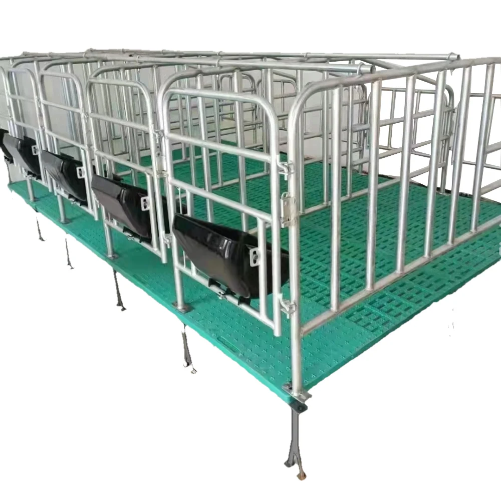 farrowing pen sow farrowing stall for pig crate for sale new design popular pig farm farrowing crates