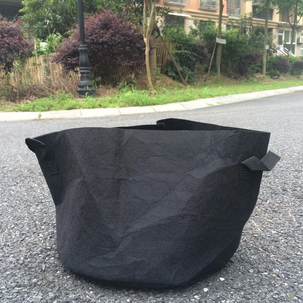 non woven fabric mushroom grow bag 2 lbs filter caps