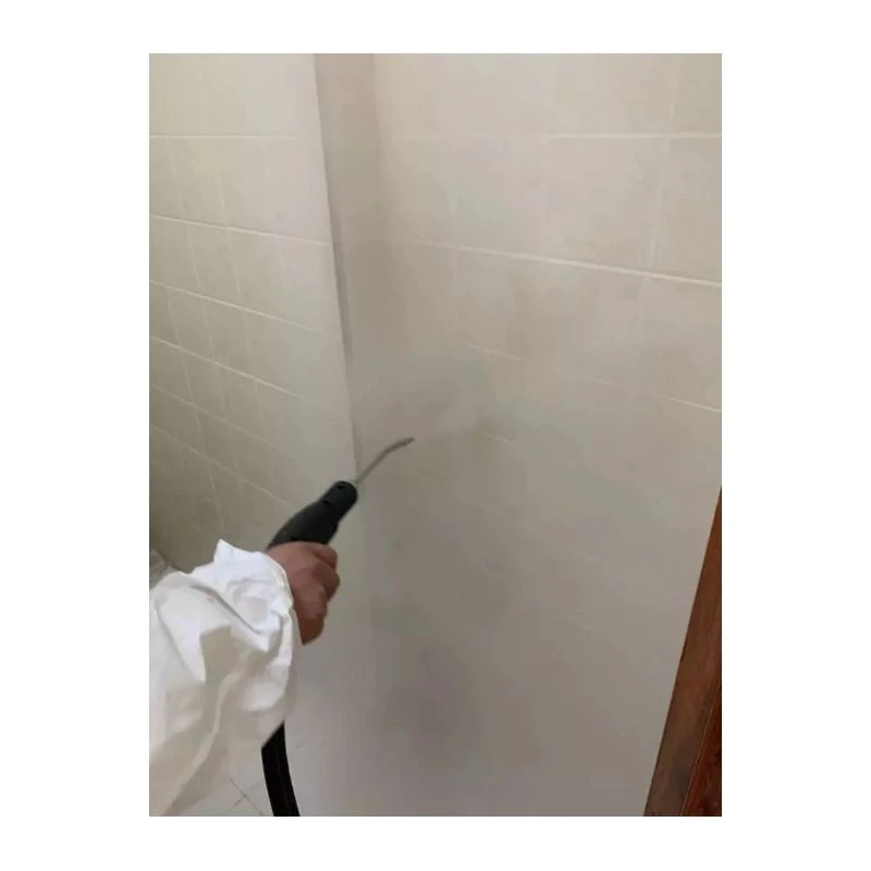 
High Power portable 3000W hospital steam sterilizer gun sterilization steam machine 