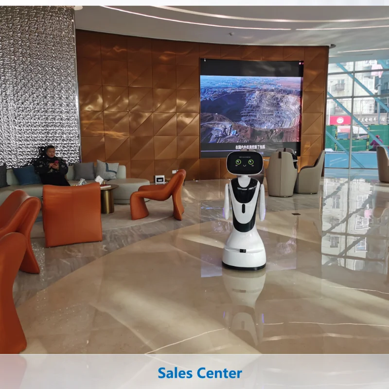 Smart Interactive Custom Artificial Intelligent Robot For Exhibition Hospital Museum Reception Robot