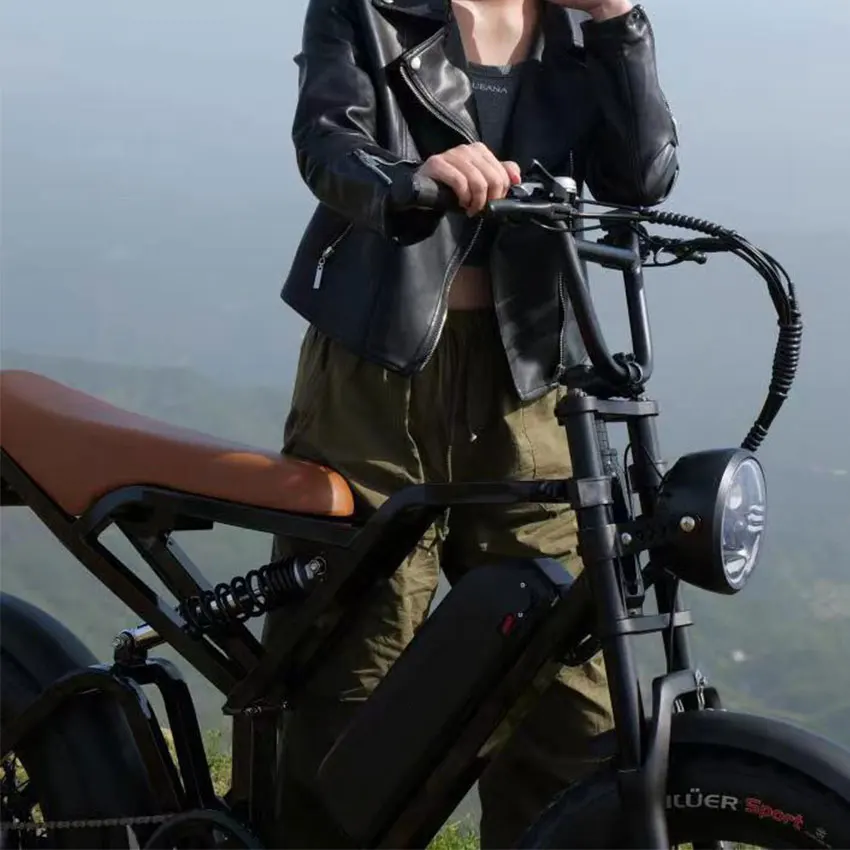 Factory Wholesale Fatbike 750W Electric Bike 20Inch*4.0 Fat Tire Electric Bike Full Suspension Electric Hybrid Bike