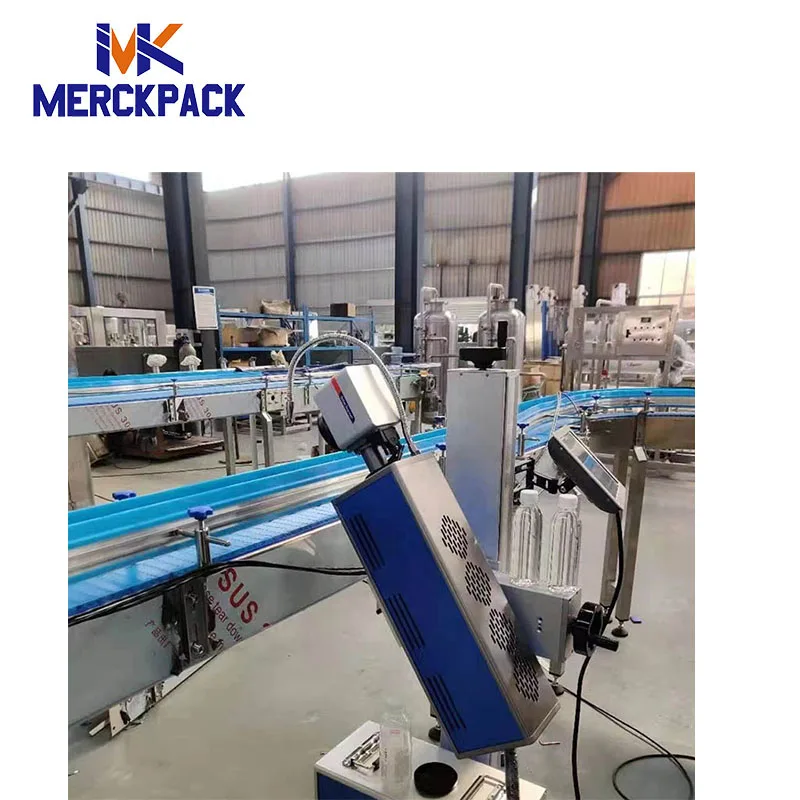 30W Laser Date Printer for Sale Laser Printer for Plastic Bottle /Metal