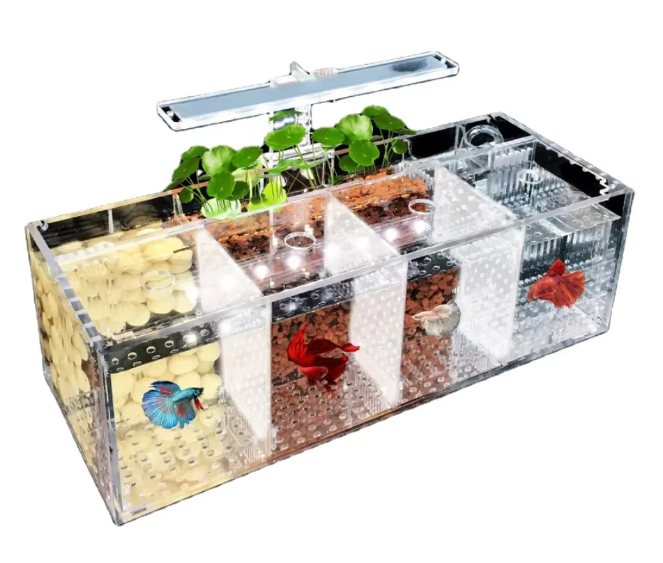 New Arrival Desktop Mini Fish Tank Multi-Cell Water Pump Hot Sale Ecological Aquarium Tank