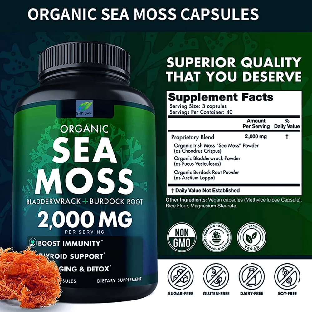 Organic Seaweed Capsule Burdock Root Irish Moss And Bladerwack Capsule Immune System Intestinal Cleaning Supplement 120 Capsules