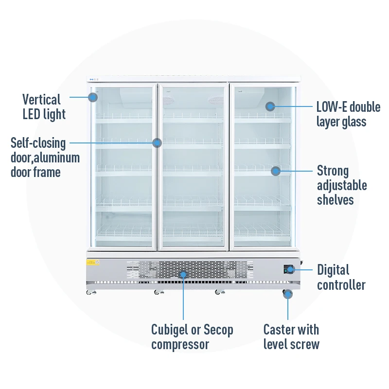 Supermarket Commercial Upright Cooler Freezer Display Refrigerator for Beverage