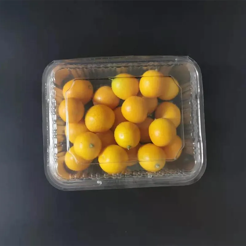  Одноразовые пластиковые коробки для торта черники