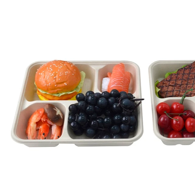 2021 wholesalecompartment biodegradable food packaging box food packaging boxes biodegradable biodegradable takeaway food contai