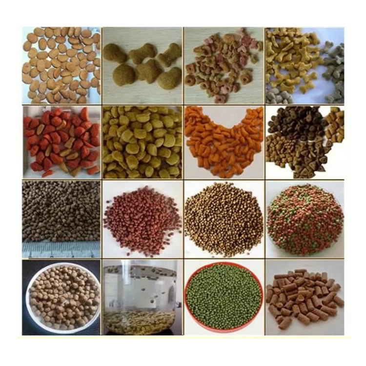 Low cost 100kg/h per hour extruder 1mm pellet fish feed