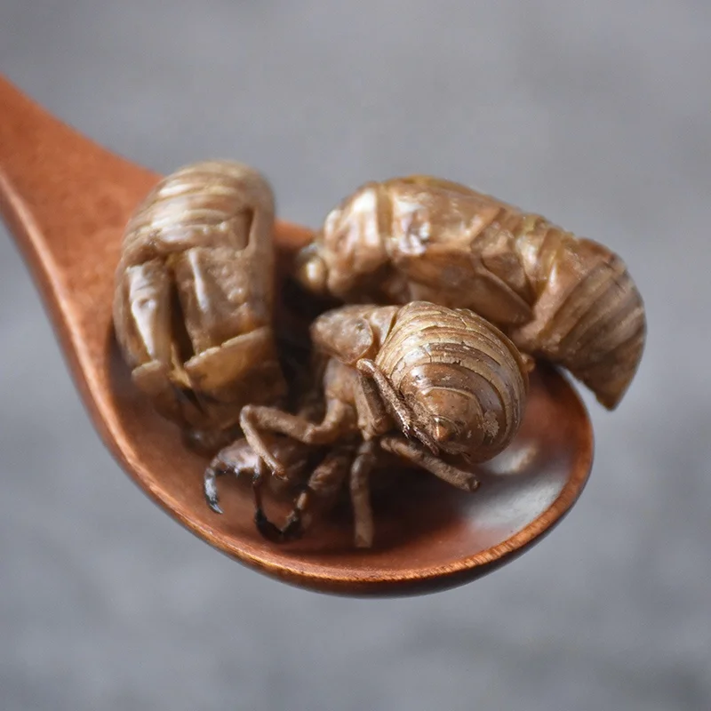 Pure natural Periostracum Cicadae PE. Cicada Slough