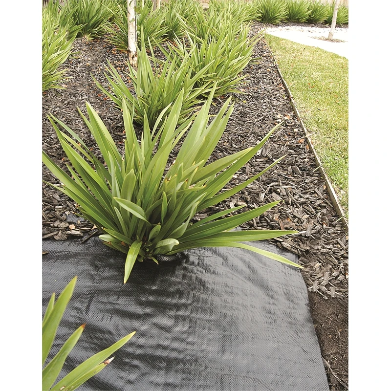 Черный цвет коврик Водоросли рулон/земля крышка/сорняк контроль тканевый коврик с УФ-обработкой